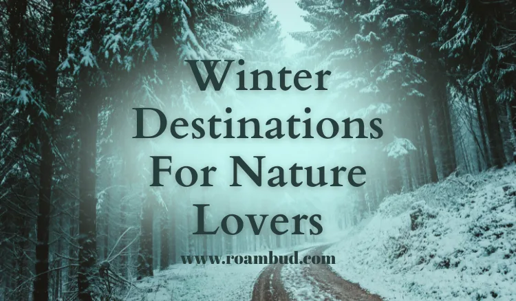 Top Winter Destinations for Nature Lovers | Magical Winter Travel Ideas